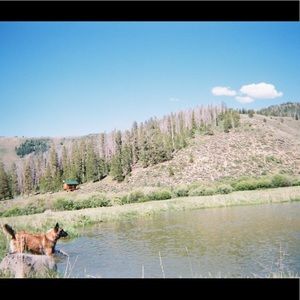 Meet your Posher, Evan